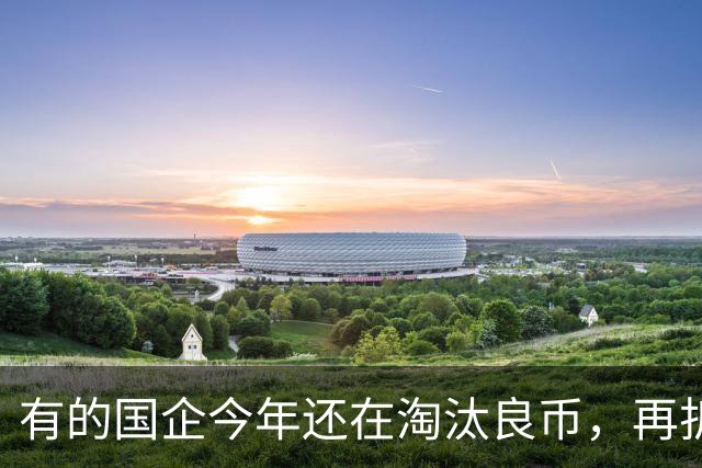 有的国企今年还在淘汰良币，再折腾所有人都要选择自保了