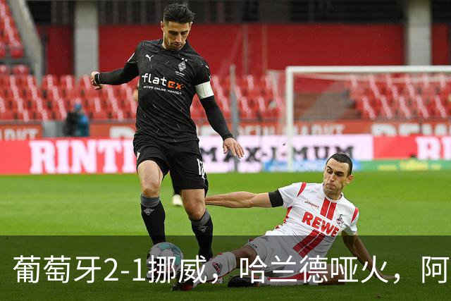 葡萄牙2-1挪威，哈兰德哑火，阿耶、坎塞洛飙世界波，贡萨洛一剑封喉