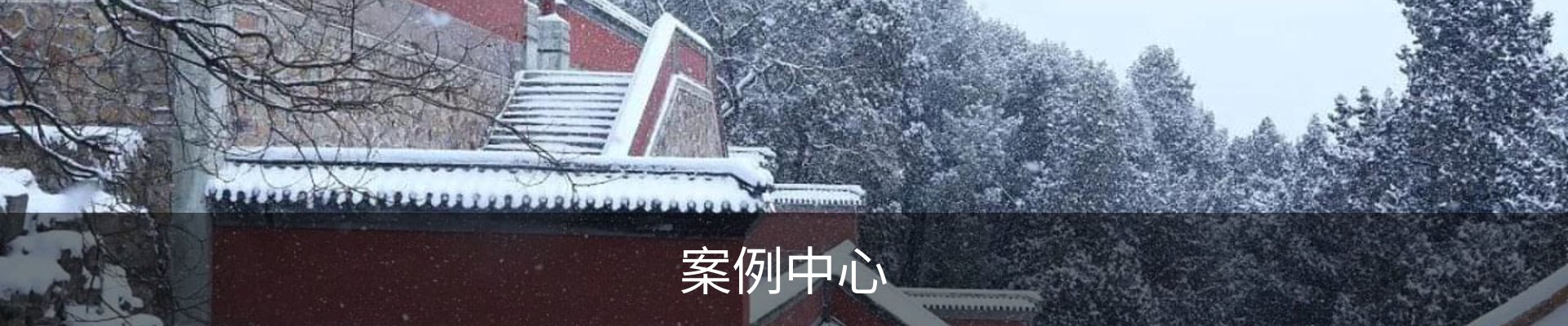 案例中心